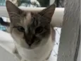 Margot