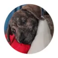 Zeca