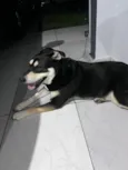 Pietra