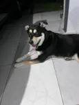 Pietra