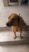 Tobias