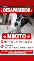 Nikito