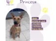 Princesa