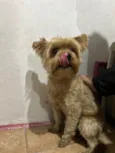Neném