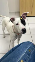 Zoe