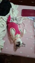 Zoe
