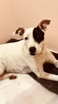 Zoe