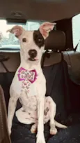 Zoe