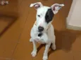 Zoe