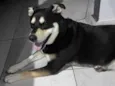 Pietra 