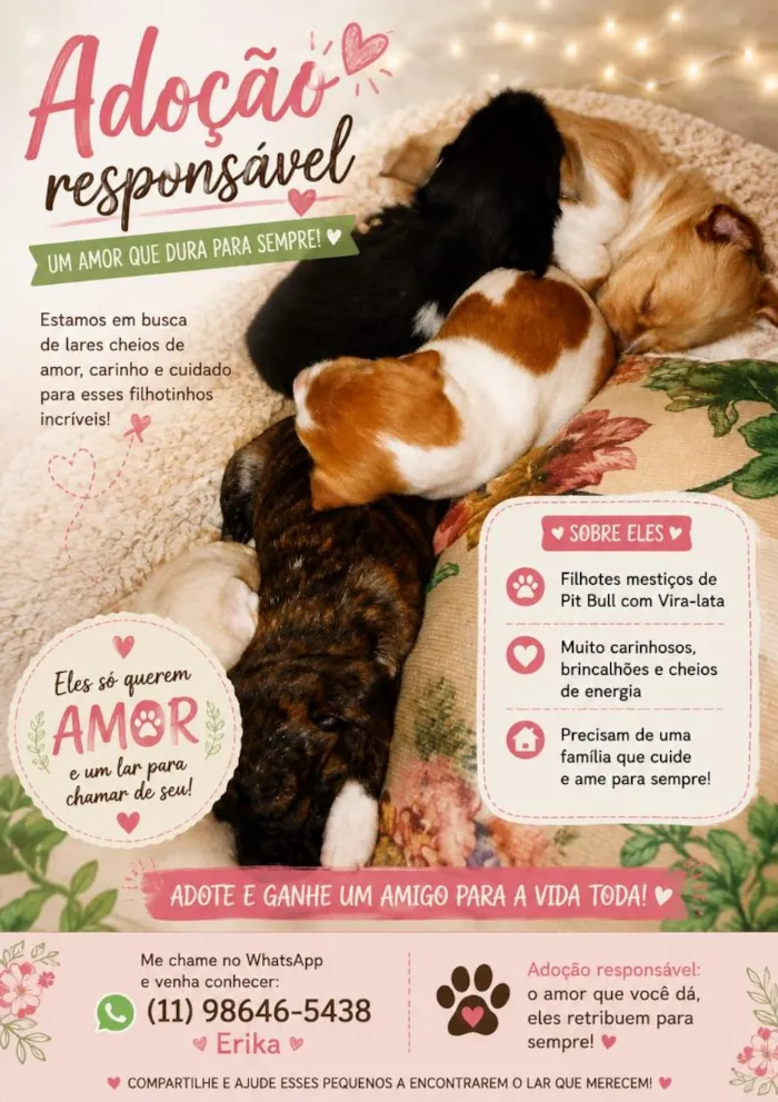 Cachorro raça Pit-Bull idade 2 a 6 meses nome VC ESCOLHE 