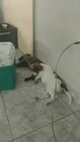 Meredith