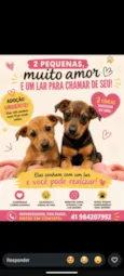 Mel e Paçoca 