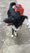 Luke