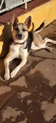 Faísca