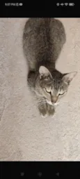 Nora