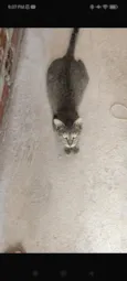 Nora