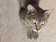 Nora