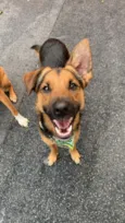 Julio
