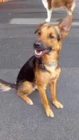 Julio