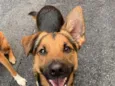 Julio