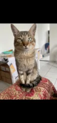 Charlie 
