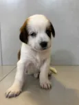 Magali 