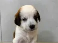 Magali 