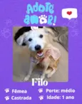 Filó