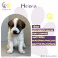 Helena
