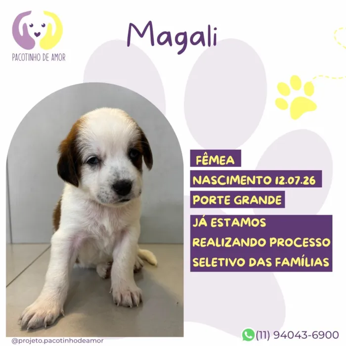Cachorro raça SRD-ViraLata idade Abaixo de 2 meses nome Magali