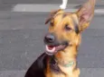 Julio