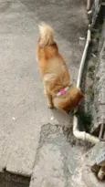 Mel