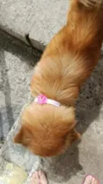 Mel