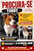 Tobby