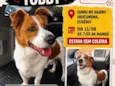 Tobby