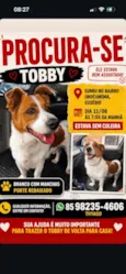 Tobby