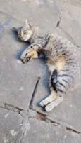 Ângela