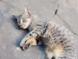 Ângela