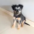 Nina