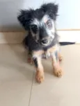 Nina