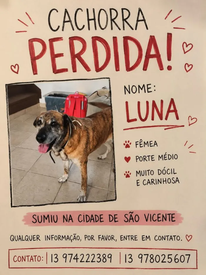 Cachorro raça SRD-ViraLata idade 6 ou mais anos nome Luna