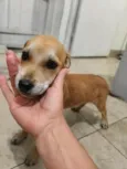 Sem nomes ainda 
