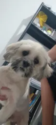 não sei