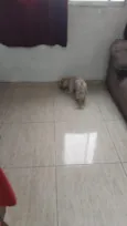 não sei