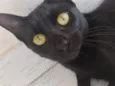Preta