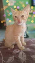 Serafina