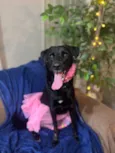 Zozo 