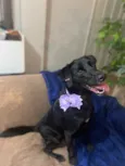 Zozo 