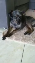bilu